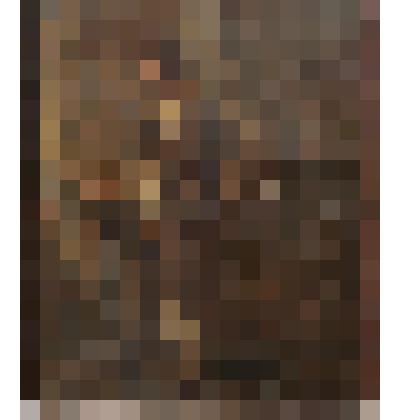 Крестьянин с мальчуганом