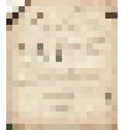 Телеграмма № 4077 в г. Чердынь В.Н.Алину от Морозова из г. Барнаула, 24.09.1908 г