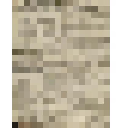 Газета. Русское знамя. № 247 (2 л.;)