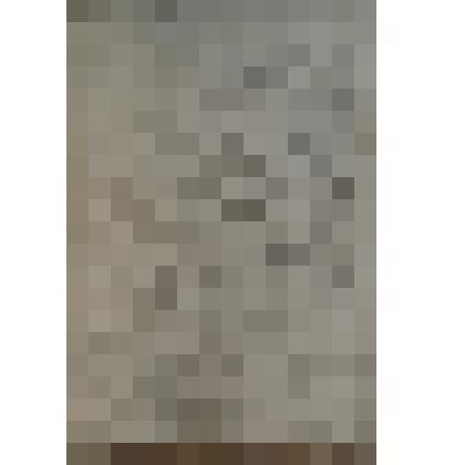 Портрет худ. образа р. Енисей