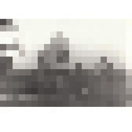 Фотография видовая. Воинское захоронение в с. Иосифовка Коростышевского района Житомирской области. В братской могиле похоронены Савельев александр Григорьевич и Смирнов Василий Иванович - участники ВОВ, уроженцы Сорокинского района Алтайского края