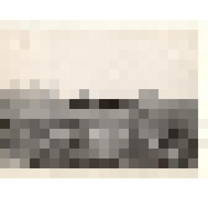 Фотография: разбрасывание органических удобрений на полях совхоза "Путь Ильича" Каменского района Алтайского края