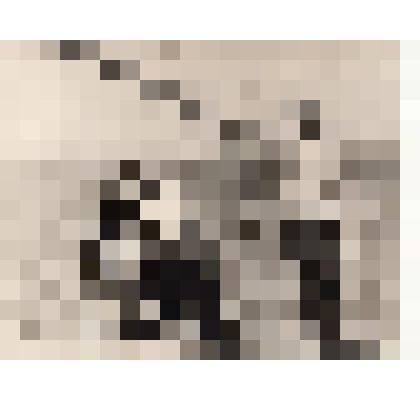 Фото/чб. Энгельсская опытно-мелиоративная станция. Съемочная группа в поле у дождевальной машины (съемка передачи). 1960-1970