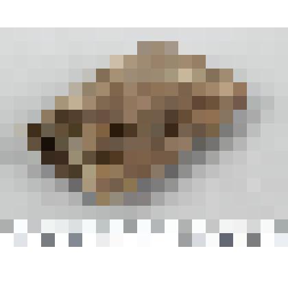 Топор, обломок