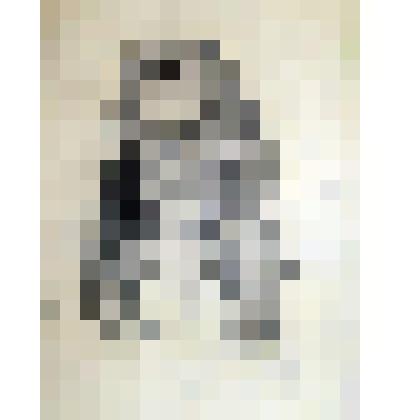 Автопортрет. Портрет