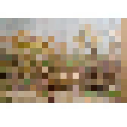 Ранняя весна