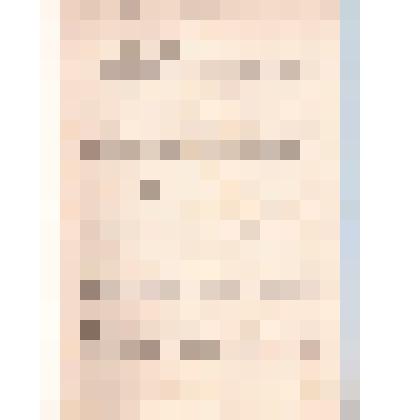 Ксерокопия. Дневник Зои Космодемьянской