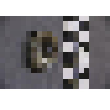 коллекция В.Ф. Лагодича. Талисман каменный лежачий, выполнен в виде головы человека. Камень с чередованием коричневого и белого цветов