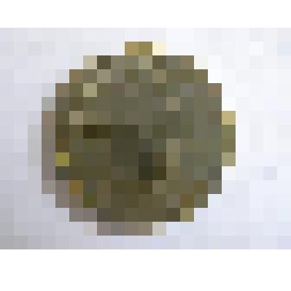 Монета 1 рубль