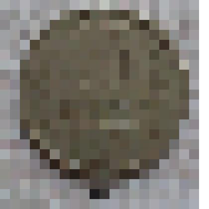 Монета 15 копеек 1978 г