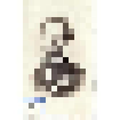 Фотография черно-белая. Котиков Александр Алексеевич