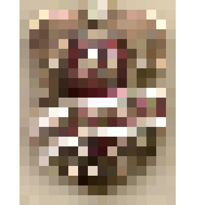 Значок нагрудный "Дружинник". Из коллекции по теме "Геральдика"