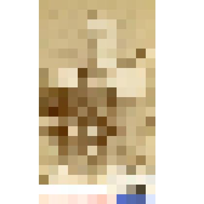 Фотография черно-белая. Вильгельм Федор Фридрихович