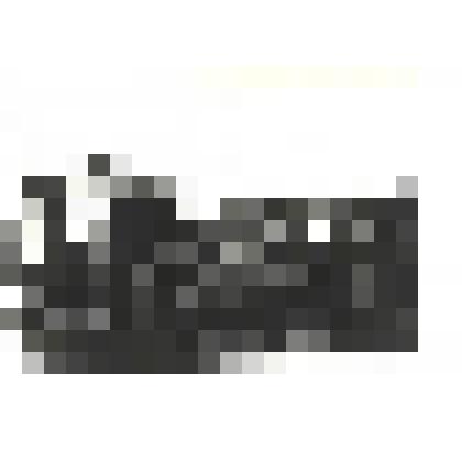 Фотографии. Фото ч/б. Парад советских войск в Берлине, май 1945 г