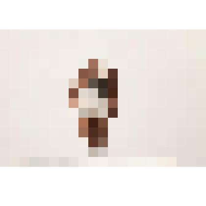 Цирковой борец