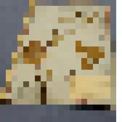 Ботаническая коллекция. Лапчатка золотистая, семейство розоцветные, на гербарном листе, Аскизский район, с.Тея в пойме реки. Rosaceae  Potentilla  chrusonta  Freu