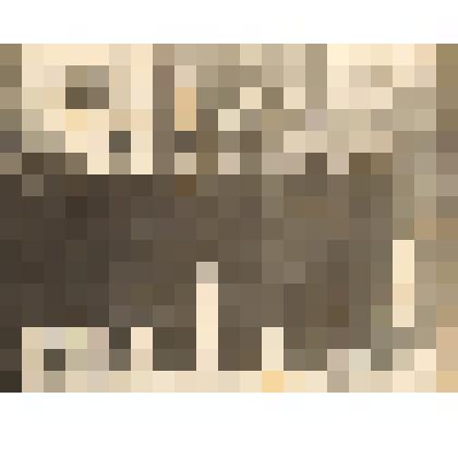 Фотография ч/б  "Группа учащихся 4 курса Суксунского педагогического училища 1950 г."