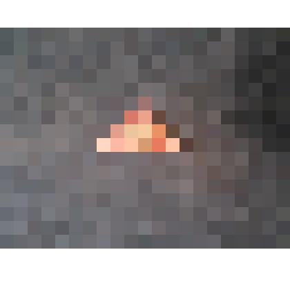 Марка почтовая с изображением цветов