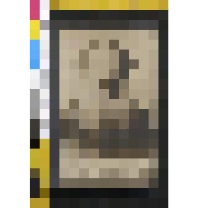 Открытка.Репродукция с фотографии фирмы «Шеррер, Набгольц и Кº 1896г. Портрет Л.Н.Толстого