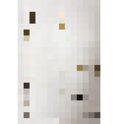 Гербарий
Горчица белая