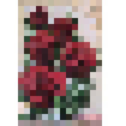 Открытка " С профессиональным праздником"