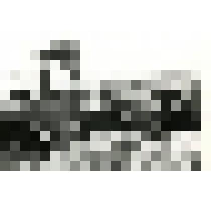 Фотография. Вывозка органики в Азовском отделении