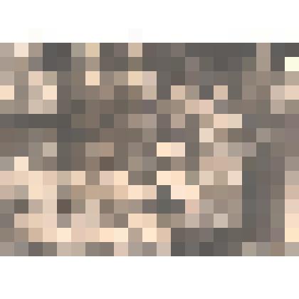 Фотография жительниц с. Усть-Вымь "Фотография"