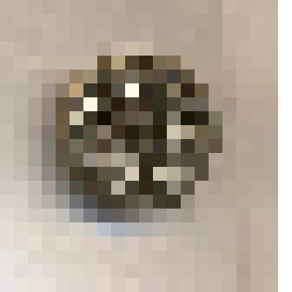 Пуговица на ножке, рельефная