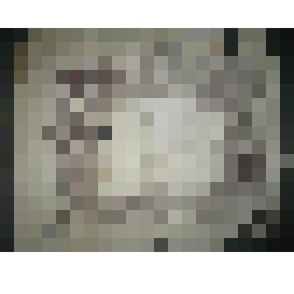 Похвальный лист Ширяевой А.И. об окончании гимназии. 
гор. Сапожок. Рязанской губ. ноября 30 дня 1914 г