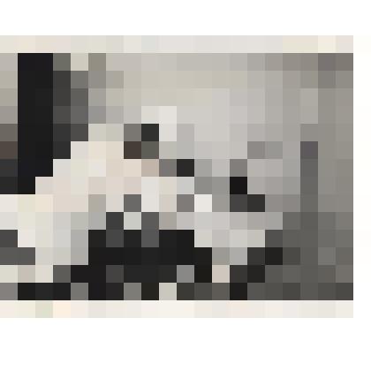 Фотография. Процедурный кабинет Сосновской районной больницы