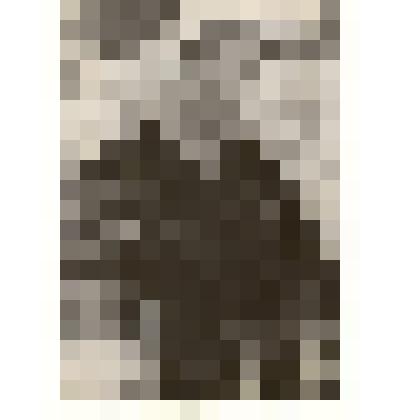 Фотография: Пархоменко Валентина, передовая доярка Чапаевского отделения совхоза "Октябрь" Каменского района Алтайского края