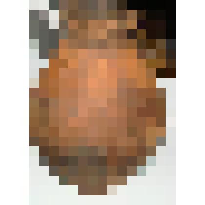 Кувшин-дегтярник