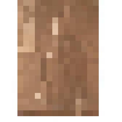 Фотография. Шахматов Сергей Прокофьевич – летчик, участник Гражданской войны