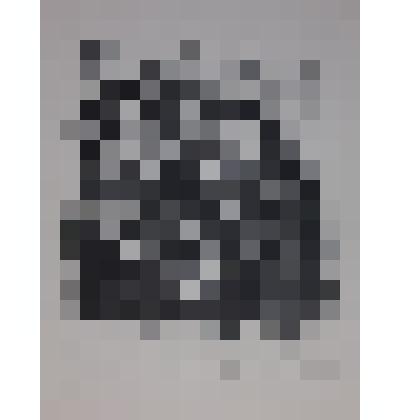 Exlibris A. Salenieks