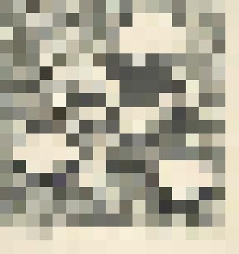 Кумыс и шашлык