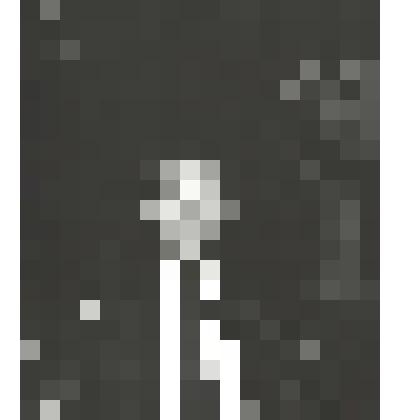 Фотография "Выступление Г.Н. Токарева"