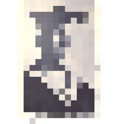 Фотография: Рогачев Михаил Иосифович (1920-1943), советский военнослужащий, участник Великой Отечественной войны, Герой Советского Союза. Копия