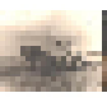 Фотография. Жатка-самосброска