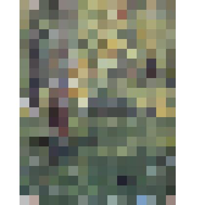 Фатеев Василий Иванович (ученик Д.А.Трубникова)  "Село Медведково. 
Березовая роща"