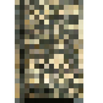 Книга: Русская Беседа