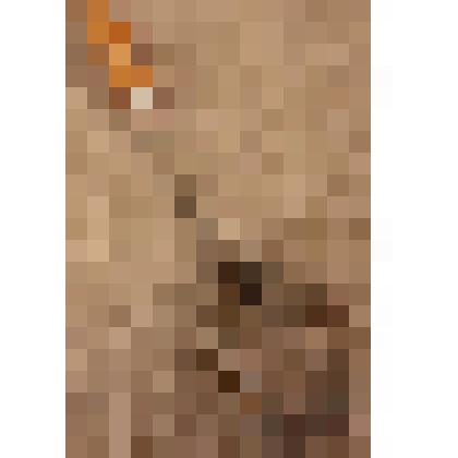 Венчик-сбивалка, из коллекции бытовых вещей семьи Бугаенко Павла Андреевича, профессора филологического факультета Саратовского государственного университета