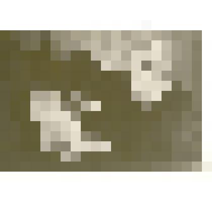 Фотография. Корольков Николай Петрович, Заслуженный работник культуры РСФСР, основатель и первый художественный руководитель Государственного академического Сибирского русского народного хора, 1944-1953 гг