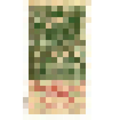 Марки почтовые. Марка почтовая. 75 коп (зеленый).Надпись "Гербовая марка"  по верхней части круга,с изображением царской короны в центре круга и царского герба внизу. На лицевой  стороне чернильный штамп красного цвета  "Вооруж.силы юга Россîи"