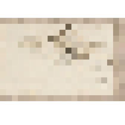 Сарай, из альбома  «190 пейзажей; зарисовки, иллюстрации, карикатуры»