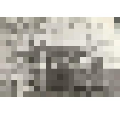 Фотография групповая