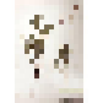 Гербарий
Эспарцет виколистный