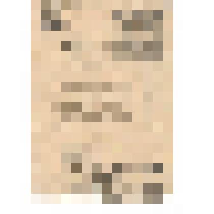 Документ. Благодарность за овладение городами в 1944 г. ст. лейтенанту Плотникову Виктору Дмитриевичу