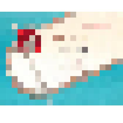 Документ. Грамота. Награждается команда женщин