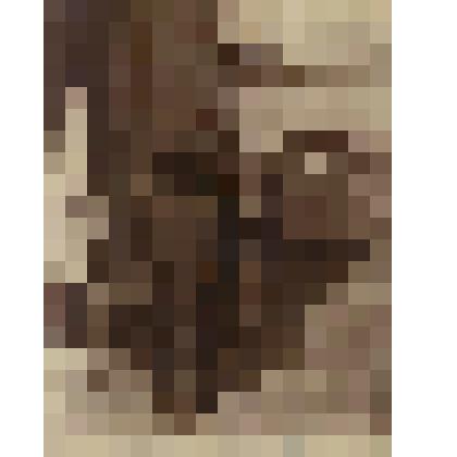 Фотография. Столичный почтальон конца XIX - начала XX ст. ст