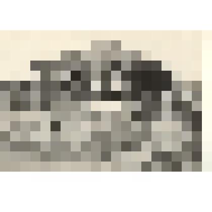 Фотография: станция юных натуралистов, г.Камень-на-Оби